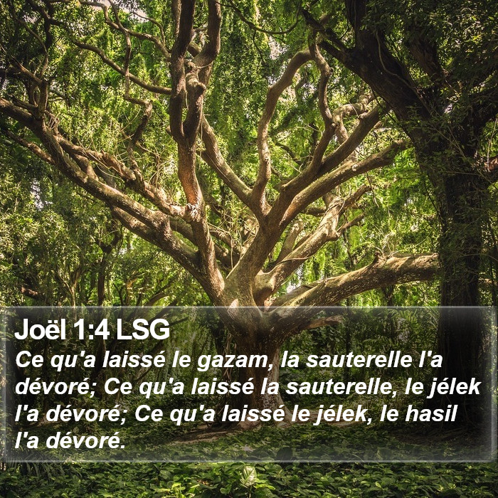 Joël 1:4 LSG Bible Study