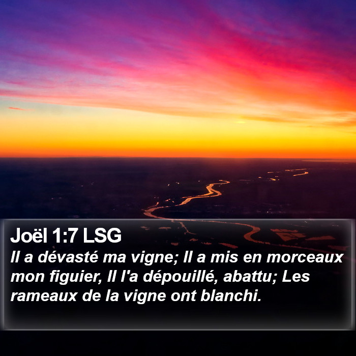 Joël 1:7 LSG Bible Study