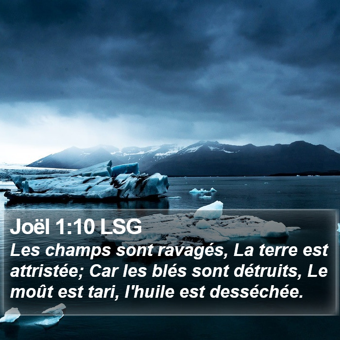 Joël 1:10 LSG Bible Study