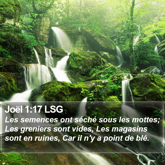 Joël 1:17 LSG Bible Study