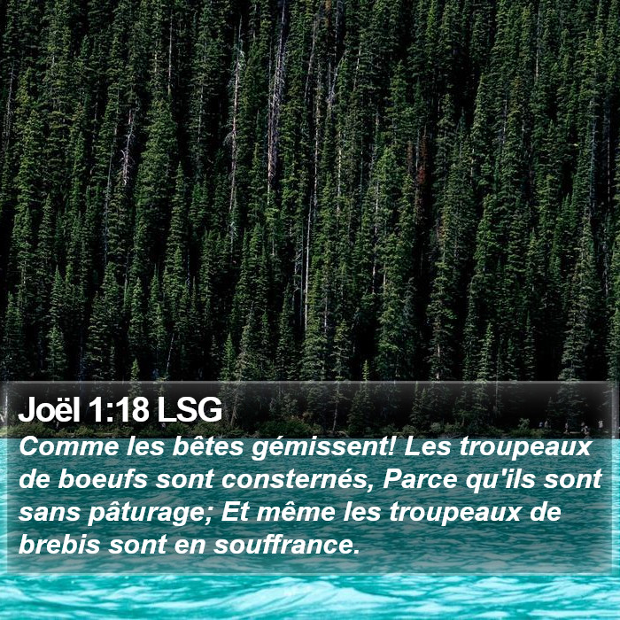 Joël 1:18 LSG Bible Study