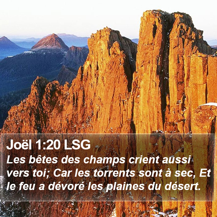 Joël 1:20 LSG Bible Study