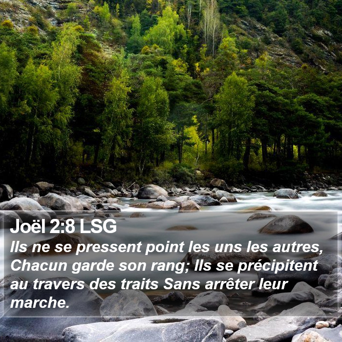 Joël 2:8 LSG Bible Study