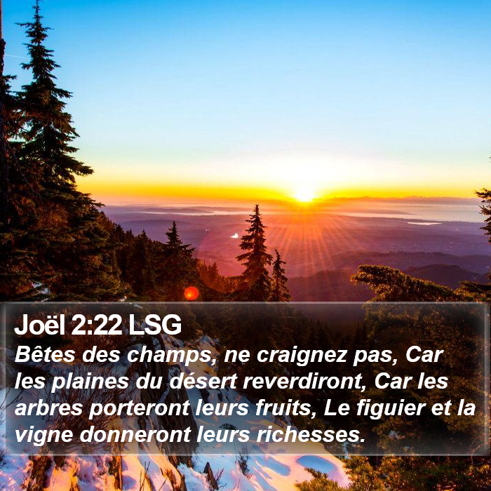 Joël 2:22 LSG Bible Study