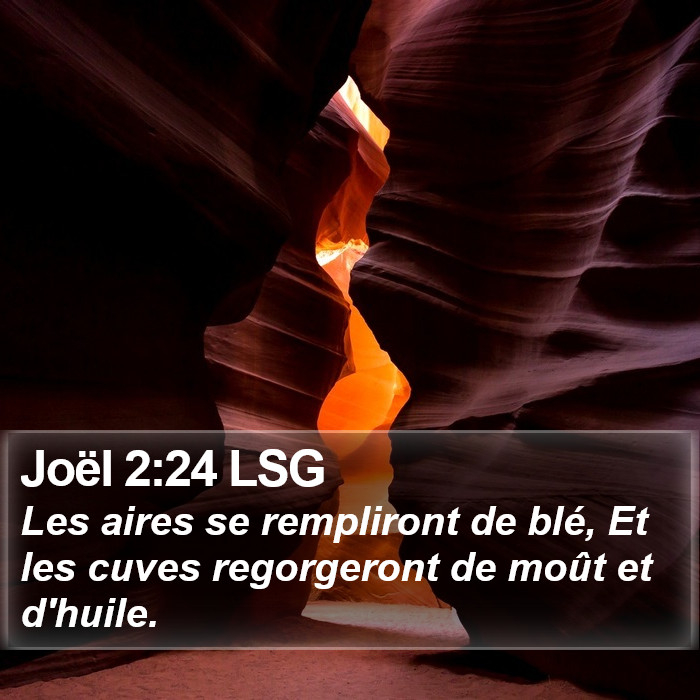 Joël 2:24 LSG Bible Study