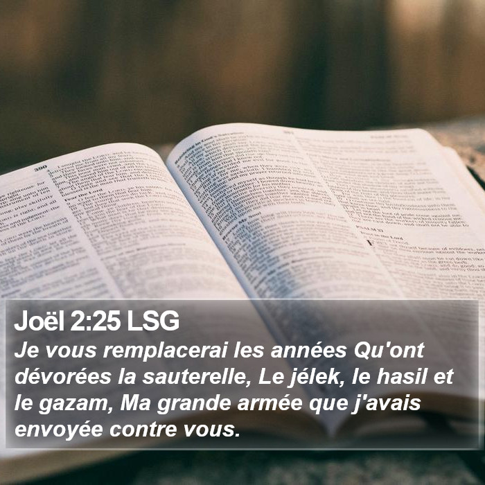 Joël 2:25 LSG Bible Study