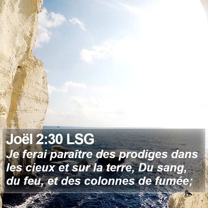 Joël 2:30 LSG Bible Study