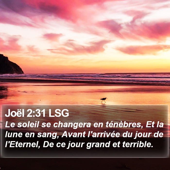 Joël 2:31 LSG Bible Study