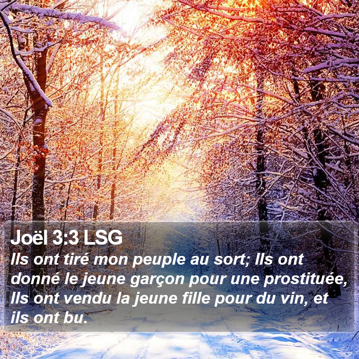 Joël 3:3 LSG Bible Study