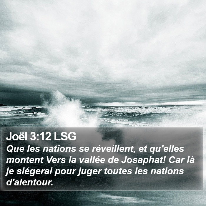 Joël 3:12 LSG Bible Study