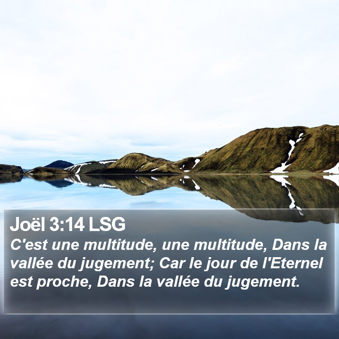 Joël 3:14 LSG Bible Study