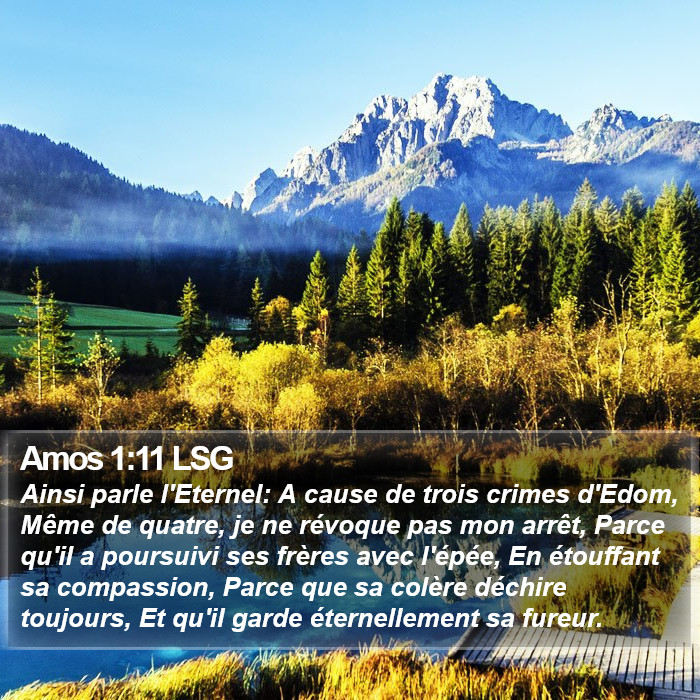 Amos 1:11 LSG Bible Study