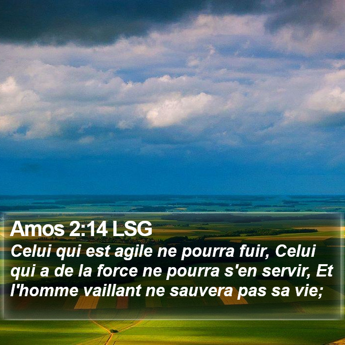 Amos 2:14 LSG Bible Study