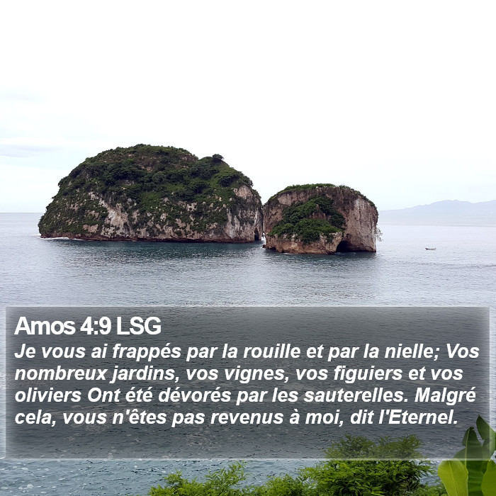 Amos 4:9 LSG Bible Study