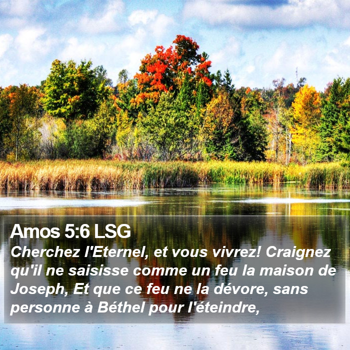 Amos 5:6 LSG Bible Study