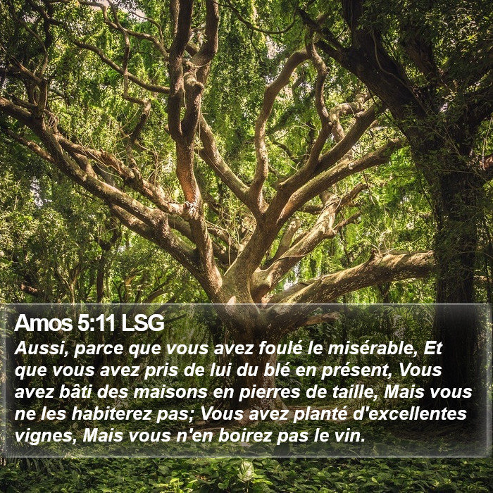 Amos 5:11 LSG Bible Study