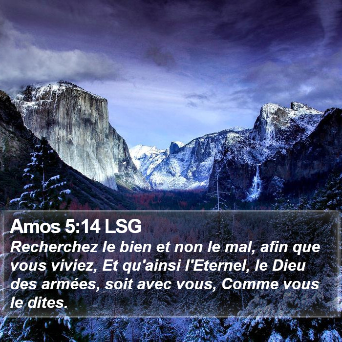 Amos 5:14 LSG Bible Study