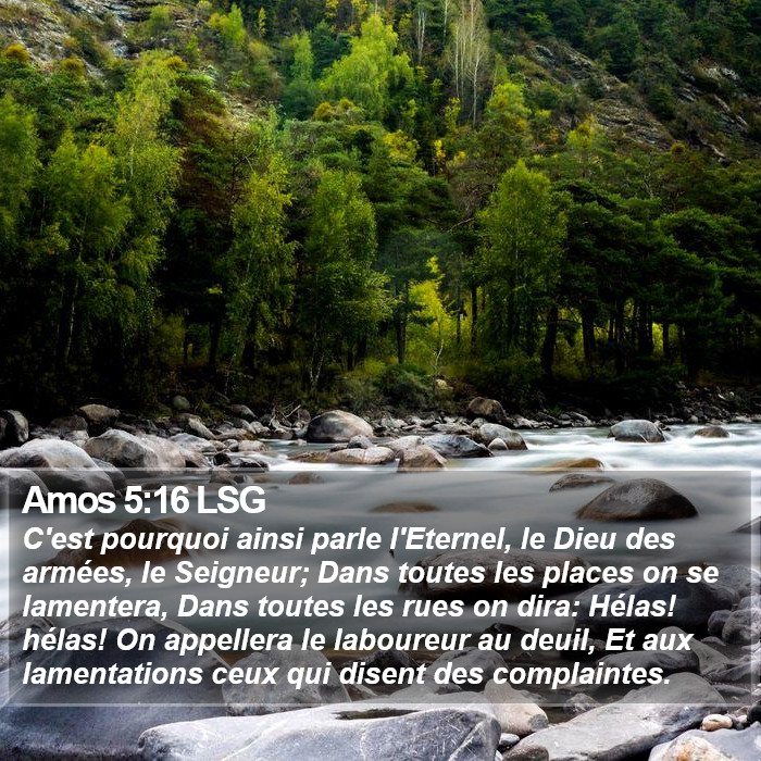 Amos 5:16 LSG Bible Study