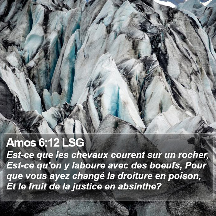 Amos 6:12 LSG Bible Study