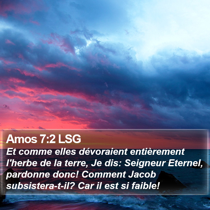 Amos 7:2 LSG Bible Study