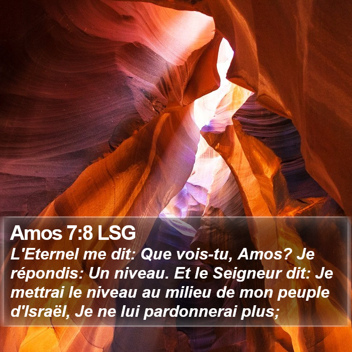 Amos 7:8 LSG Bible Study