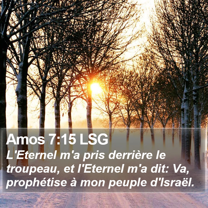 Amos 7:15 LSG Bible Study