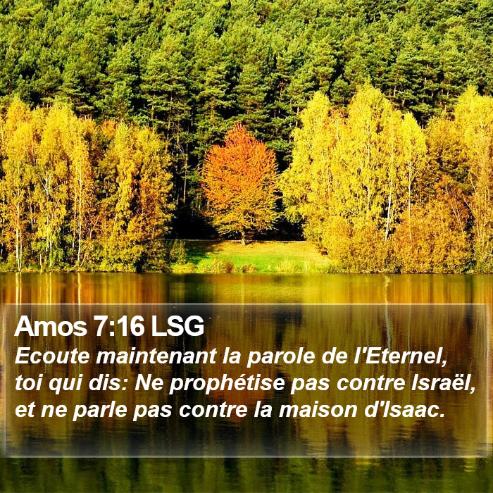 Amos 7:16 LSG Bible Study