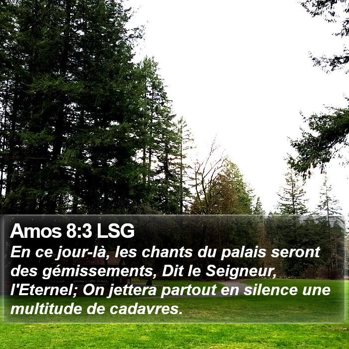 Amos 8:3 LSG Bible Study