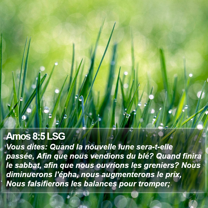 Amos 8:5 LSG Bible Study