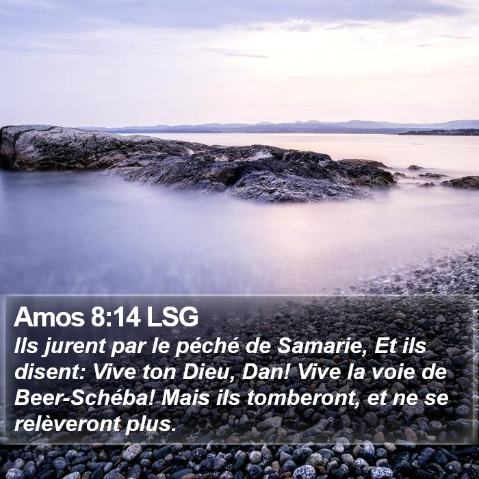 Amos 8:14 LSG Bible Study