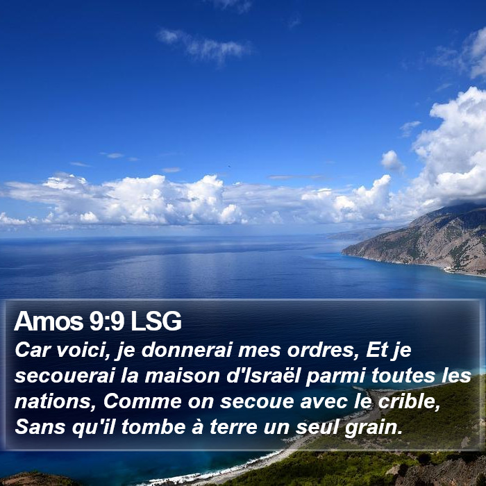 Amos 9:9 LSG Bible Study