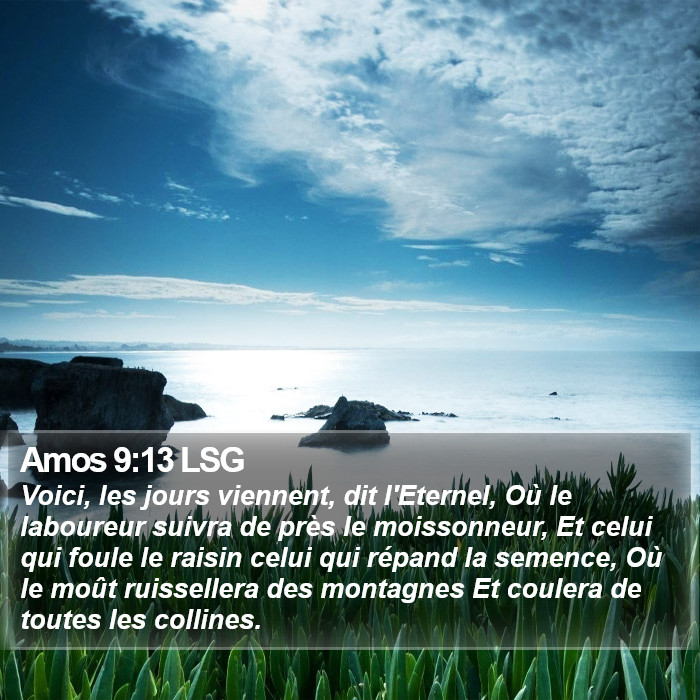 Amos 9:13 LSG Bible Study