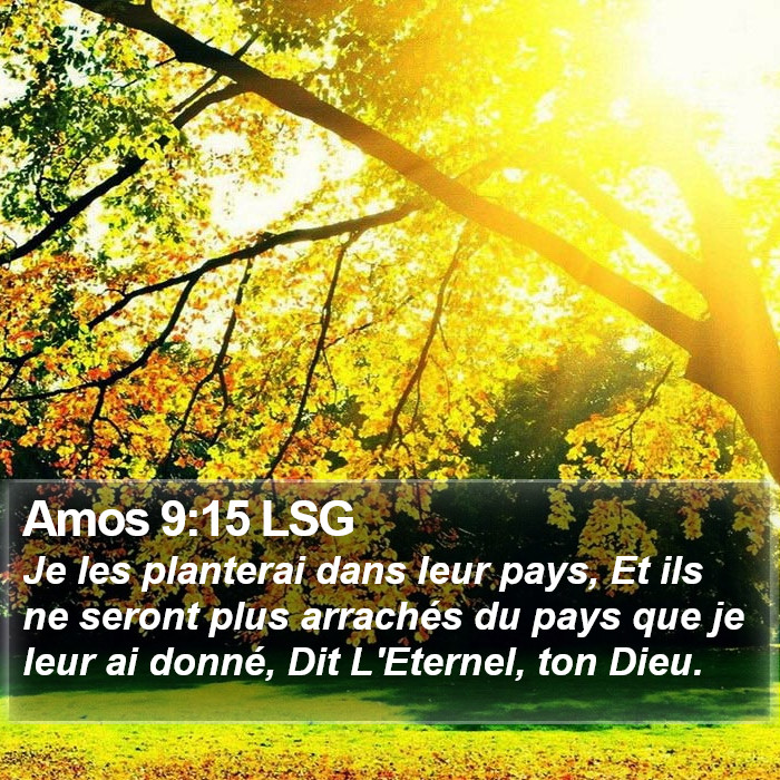 Amos 9:15 LSG Bible Study