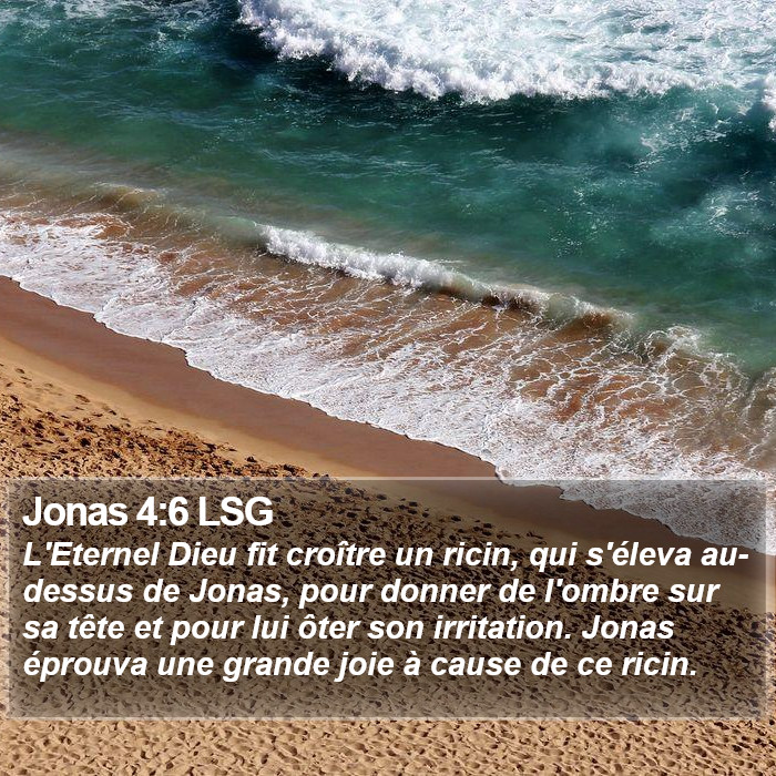 Jonas 4:6 LSG Bible Study