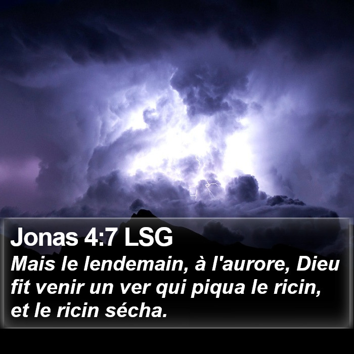 Jonas 4:7 LSG Bible Study