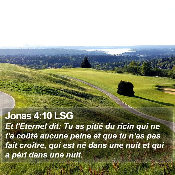 Jonas 4:10 LSG Bible Study