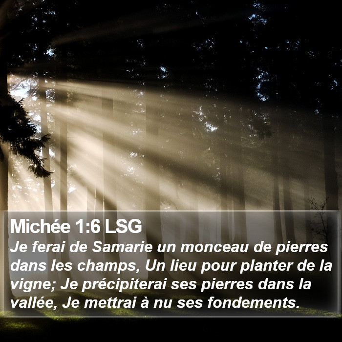 Michée 1:6 LSG Bible Study