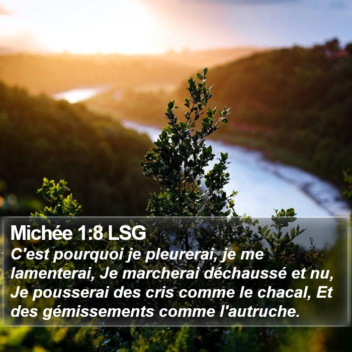 Michée 1:8 LSG Bible Study