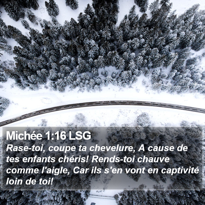 Michée 1:16 LSG Bible Study