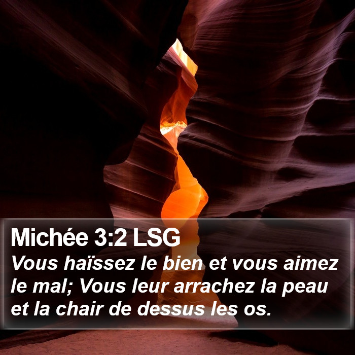 Michée 3:2 LSG Bible Study