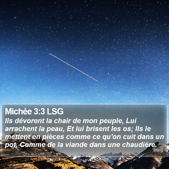 Michée 3:3 LSG Bible Study