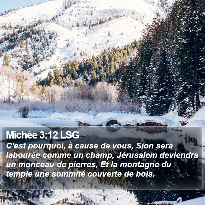 Michée 3:12 LSG Bible Study