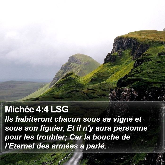 Michée 4:4 LSG Bible Study