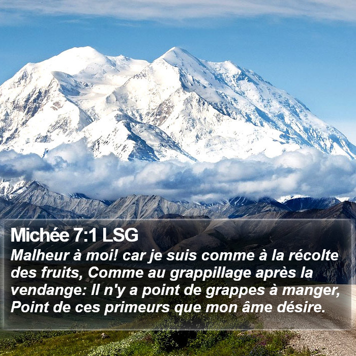 Michée 7:1 LSG Bible Study