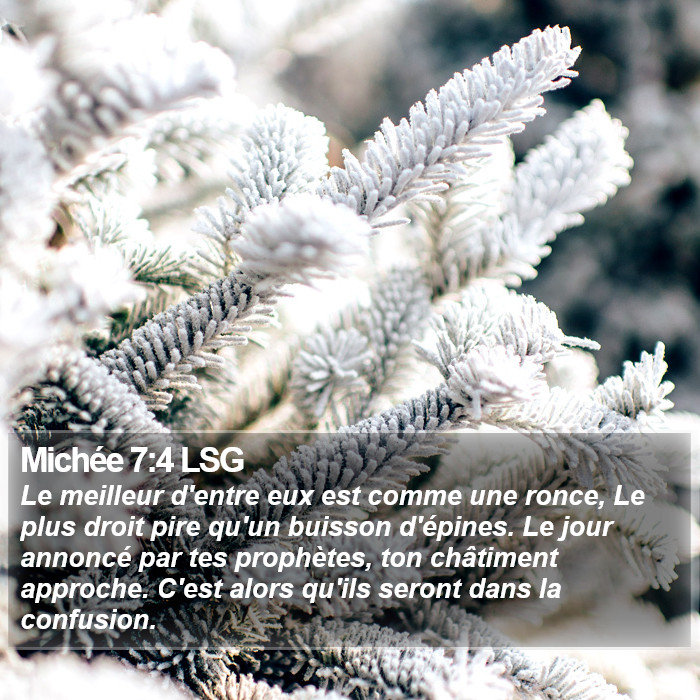 Michée 7:4 LSG Bible Study