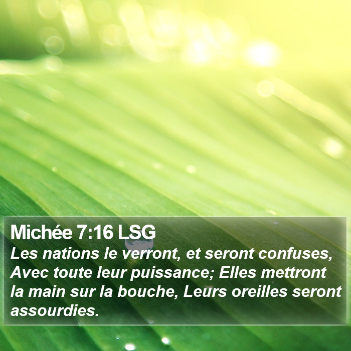 Michée 7:16 LSG Bible Study