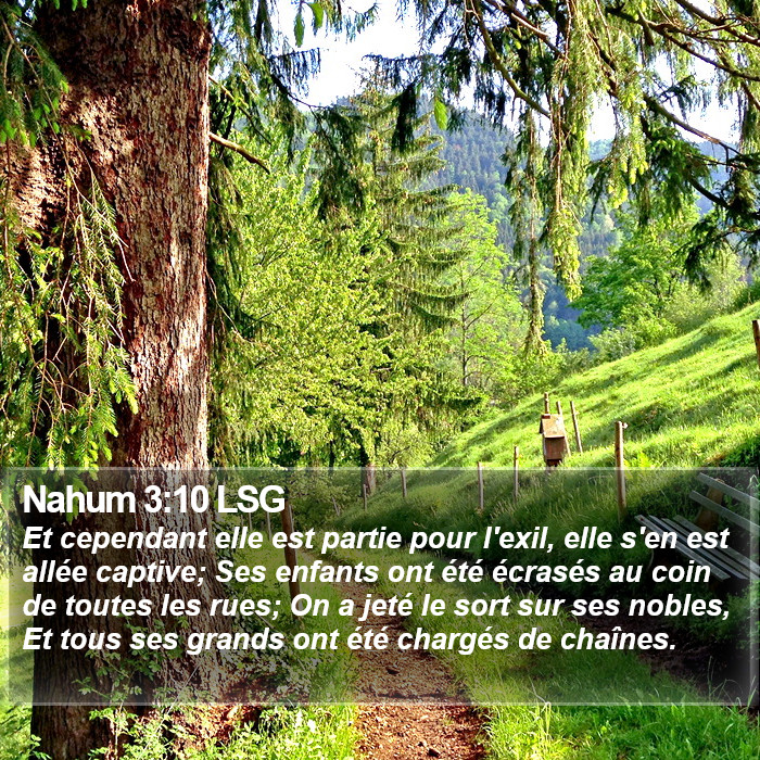 Nahum 3:10 LSG Bible Study