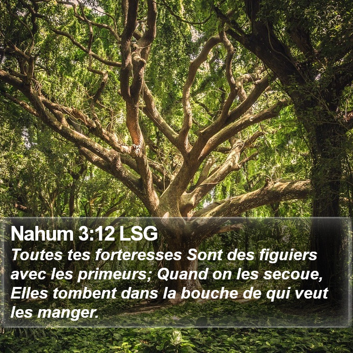 Nahum 3:12 LSG Bible Study