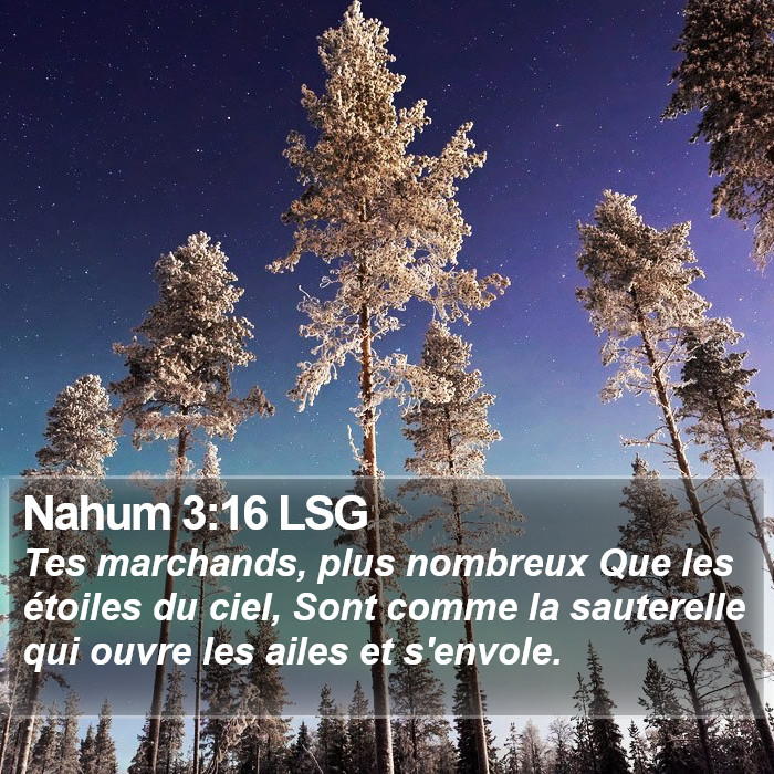 Nahum 3:16 LSG Bible Study
