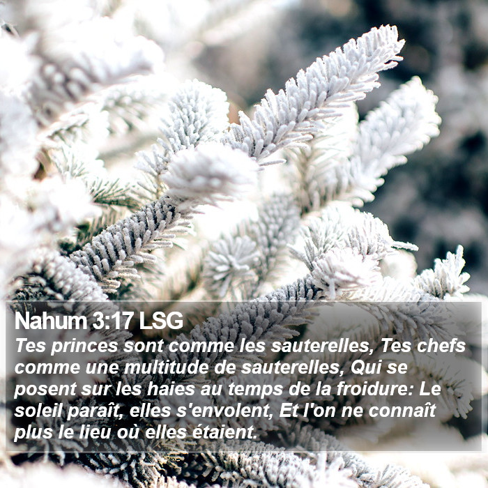 Nahum 3:17 LSG Bible Study